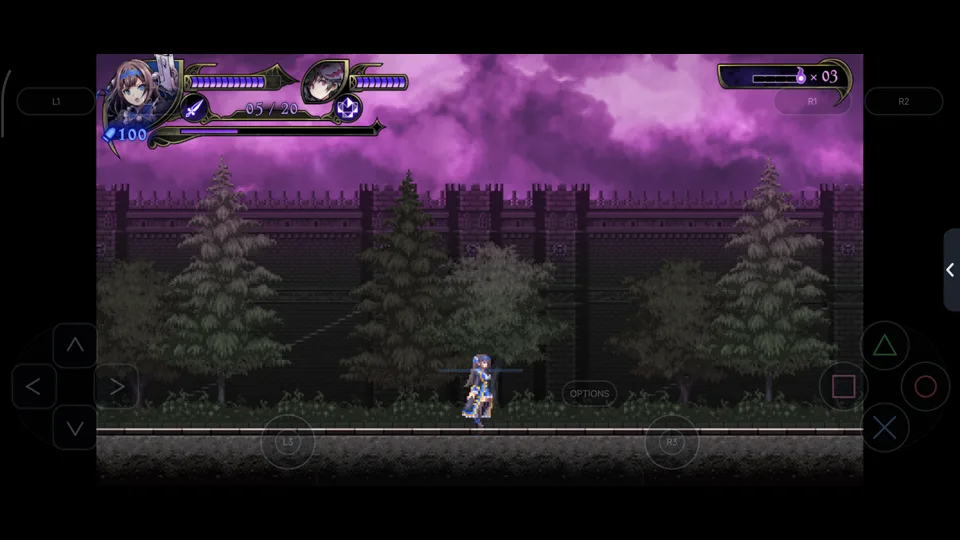 Published gameplay capture of Grim Guardians: Demon Purge in LSX4